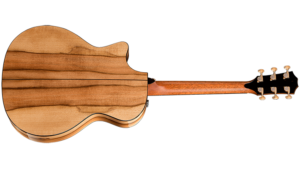 Taylor-914ce-LTD-Sass-bk-2017