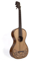 shelley-guitar-2000