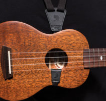 daddario-uke