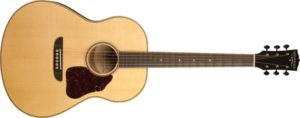 washburn-gp
