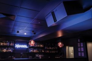 funktion-one-bloom-1