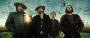 magpie-salute