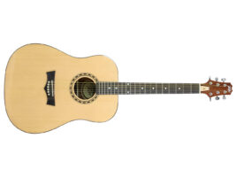 peavy-acoustic401400x1050