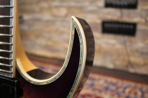 BC-Rich-Shredzilla-Extreme-Exotic-Image-01
