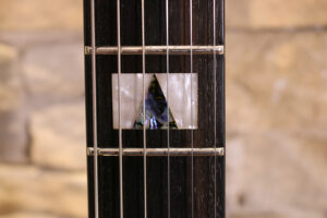 Framus-D-Series-01
