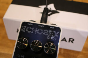 Foxgear-ECHOSEX-01