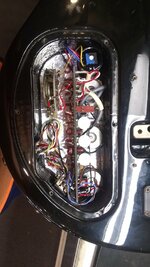 IMG_20220812_114322751.jpg