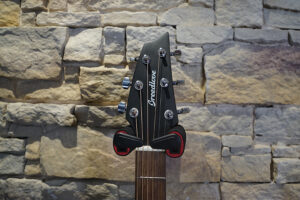 Breedlove-ECO-01