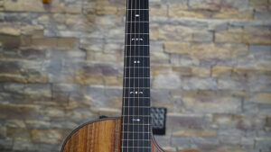 Taylor-724CE-01