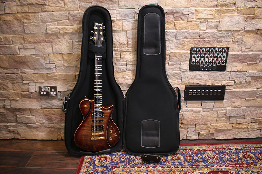 Framus Panthera
