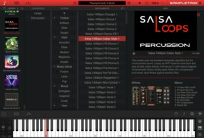 salsa_loops_gui