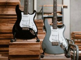 PRS-SE-Silver-Sky-New-Colours402000x1500