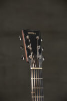 FG9_Headstock_Portrait_583
