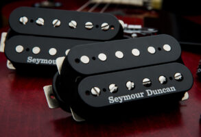 Seymour-Duncan-Skolnick-Lifestyle-2