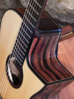 Malaysian-Ebony-Cutaway-3