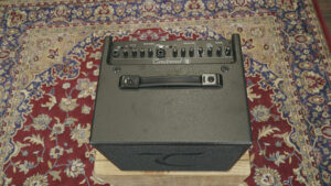 Tanglewood-T6-01