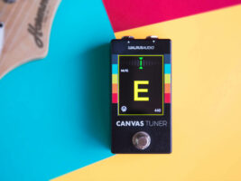 Walrus-Canvas-Tuner402000x1500