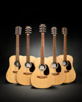 D-X2E-12-String_-000-X2E_0-X2E-00-X2E_D-X2E