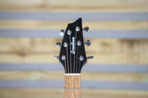 Breedlove-ECO-01