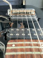 IMG_6908bok.jpg