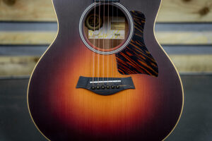 Taylor-GS-Mini-02