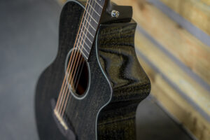 Breedlove-Rainforest-02