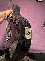 IMG_1666.jpeg