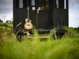 Breedlove-Artista-03