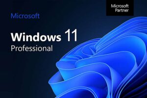 MS-Windows-11-Pro