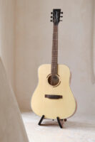 Tanglewood-Strada-01