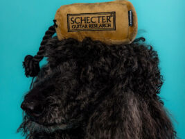 Schecter-dog-toy-1402000x1500