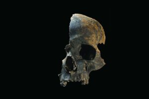 massacre-bronze-age
