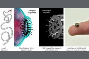 robotapeworm