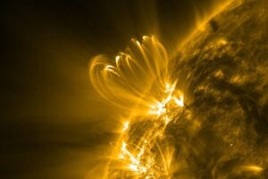 coronal-loops