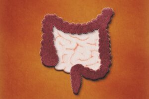 gut