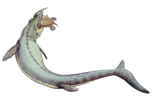 mosasaur-illustration