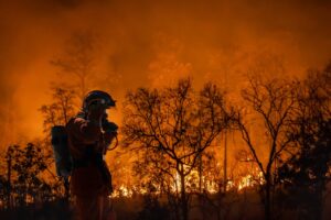 wildfire-fire-fighter