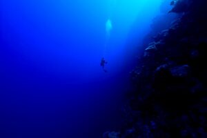 Scuba-Diver-in-the-Pacific-Ocean