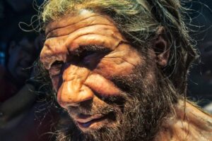 neanderthal-reconstruction