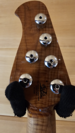 Kaizen Headstock Back - Resized.png