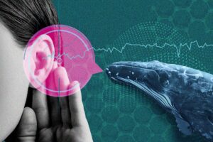 AI-Talk-Decipher-Animal-Speech
