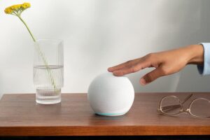 EchoDotNewest