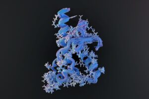 Prion-Proteins