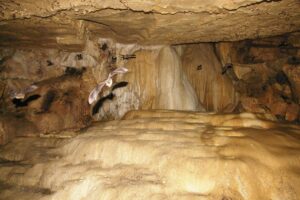 bat-cave