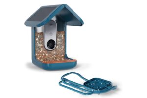 birdbuddy