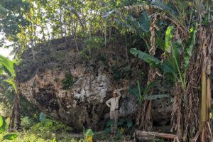 tonga-boulder-washed-inland