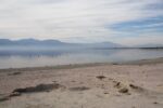 California’s Salton Sea Is Emitting Way More Toxic Gas Than We Thought