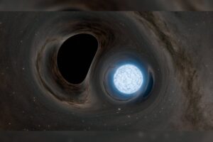 black-hole-neutron-sim