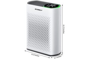 ecoself-air-purifier-large-rooms