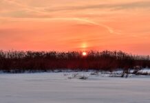 Changing the Clocks Goes Against Human Nature—and Nature Itself